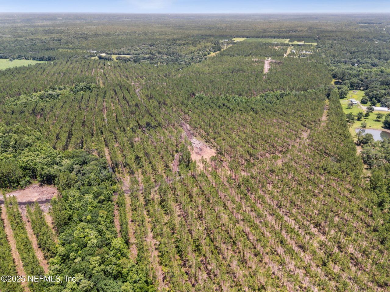 0 Lake Hampton Road, Hilliard, FL 32046 Photo