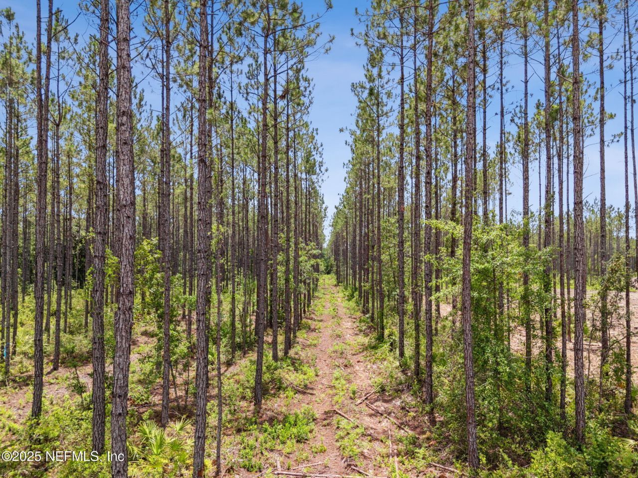 0 Lake Hampton Road, Hilliard, FL 32046 Photo