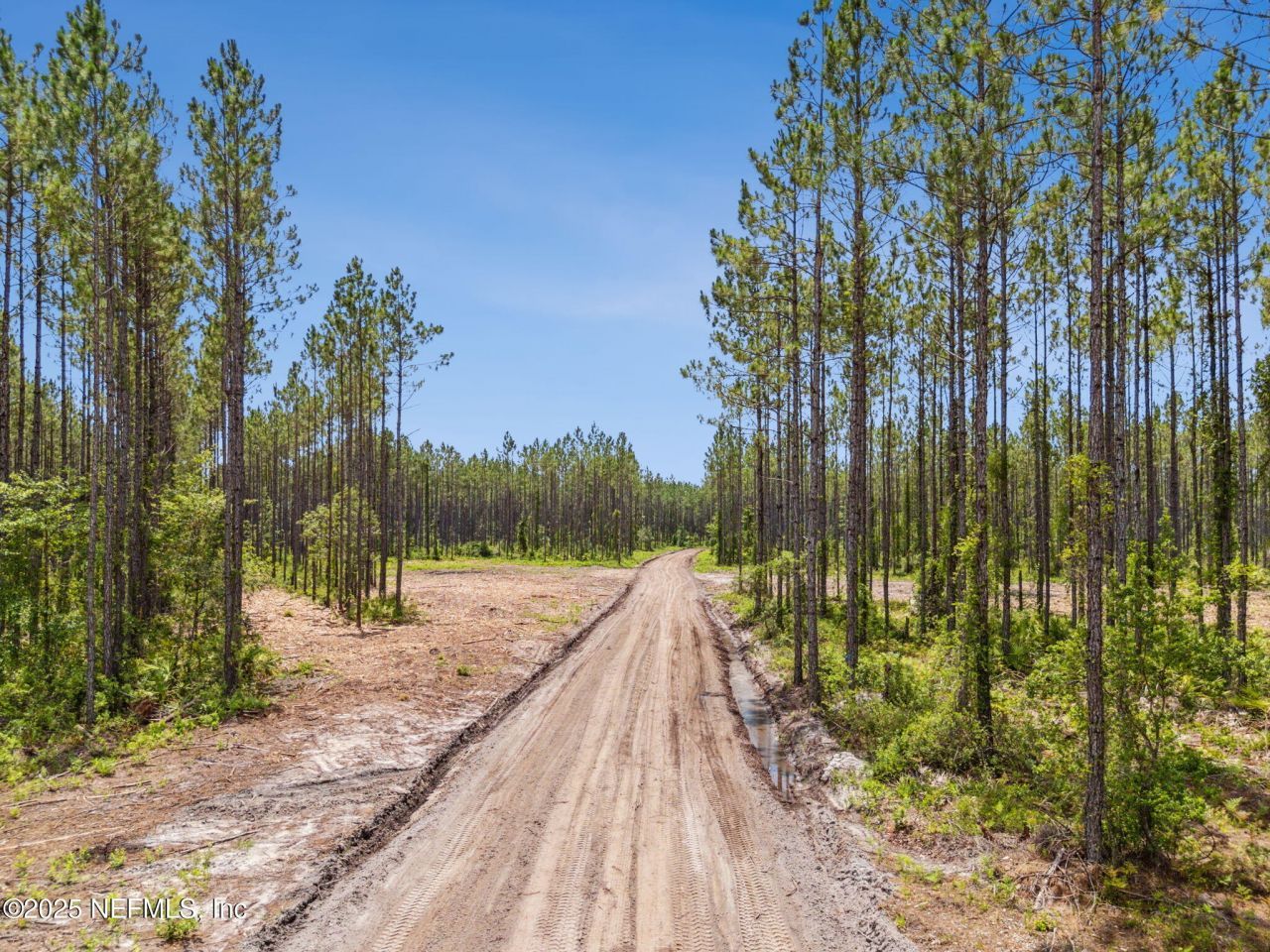 0 Lake Hampton Road, Hilliard, FL 32046 Photo