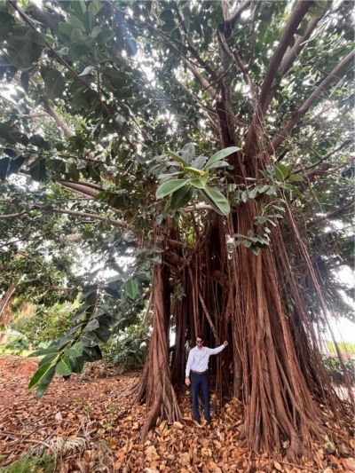 753 S Fischer Circle, Sebastian, FL 32958 Photo