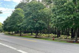 Carolina Park Boulevard photo 4