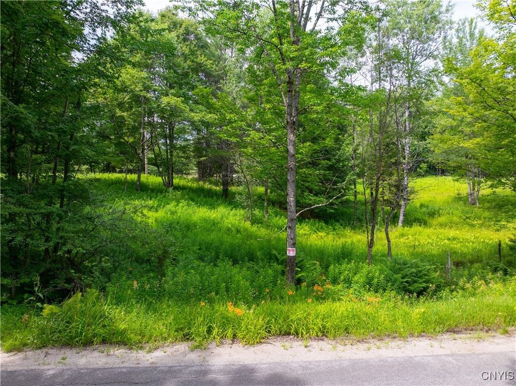 Hadcock Road, Stratford, NY 13470 Main Photo