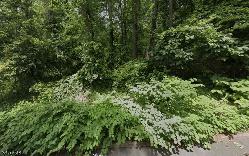 423 Summit Rd, Mountainside, NJ 07092 Main Photo