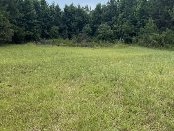 134a Harry Sones Rd, Carriere, MS 39426