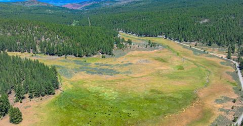 Xxx Smithneck Road, Loyalton, CA 96118 Photo