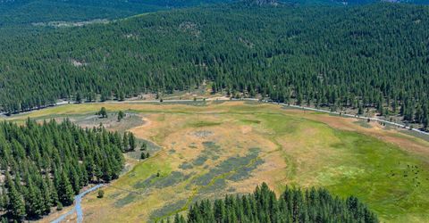 Xxx Smithneck Road, Loyalton, CA 96118 Photo