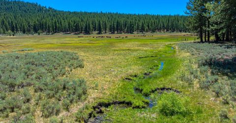 Xxx Smithneck Road, Loyalton, CA 96118 Photo