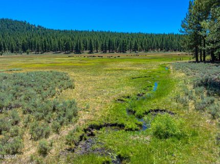 Xxx Smithneck Road, Loyalton, CA 96118 Photo