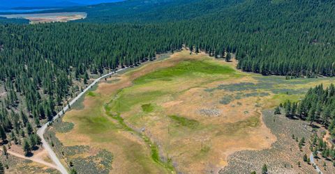 Xxx Smithneck Road, Loyalton, CA 96118 Photo