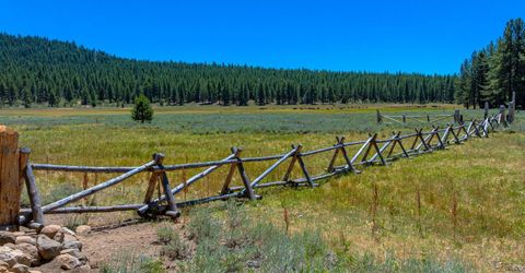 Xxx Smithneck Road, Loyalton, CA 96118 Photo