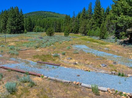 Xxx Smithneck Road, Loyalton, CA 96118 Photo