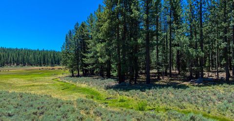 Xxx Smithneck Road, Loyalton, CA 96118 Photo