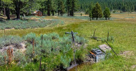 Xxx Smithneck Road, Loyalton, CA 96118 Photo