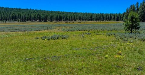 Xxx Smithneck Road, Loyalton, CA 96118 Photo