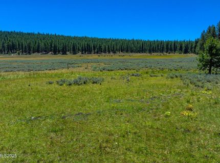 Xxx Smithneck Road, Loyalton, CA 96118 Photo