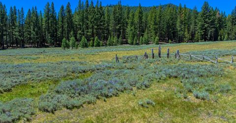 Xxx Smithneck Road, Loyalton, CA 96118 Photo