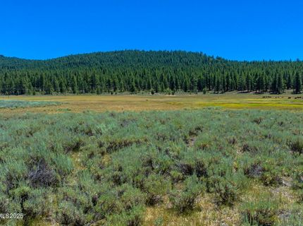 Xxx Smithneck Road, Loyalton, CA 96118 Photo