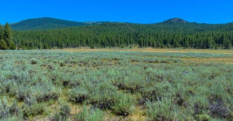 Xxx Smithneck Road, Loyalton, CA 96118 Photo