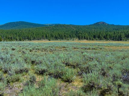 Xxx Smithneck Road, Loyalton, CA 96118 Photo