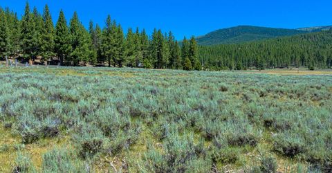 Xxx Smithneck Road, Loyalton, CA 96118 Photo