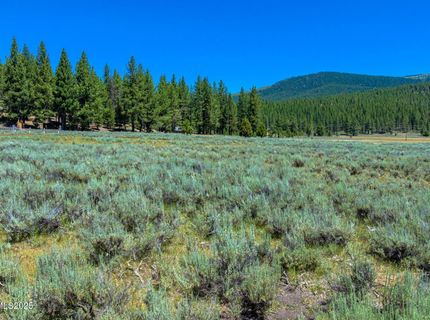 Xxx Smithneck Road, Loyalton, CA 96118 Photo