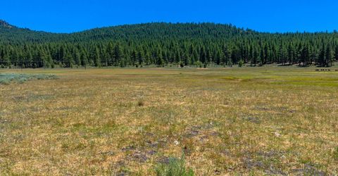 Xxx Smithneck Road, Loyalton, CA 96118 Photo