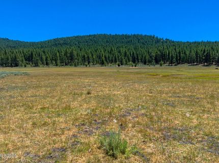 Xxx Smithneck Road, Loyalton, CA 96118 Photo