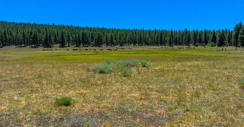 Xxx Smithneck Road, Loyalton, CA 96118 Photo