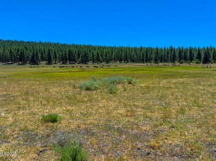 Xxx Smithneck Road, Loyalton, CA 96118 Photo