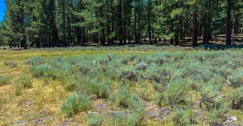 Xxx Smithneck Road, Loyalton, CA 96118 Photo