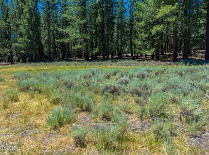 Xxx Smithneck Road, Loyalton, CA 96118 Photo