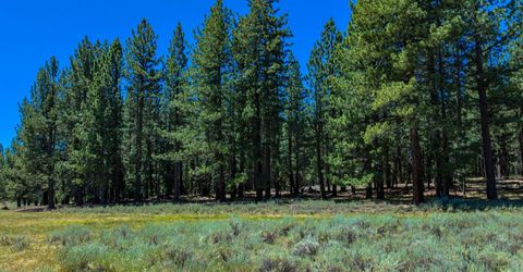 Xxx Smithneck Road, Loyalton, CA 96118 Photo