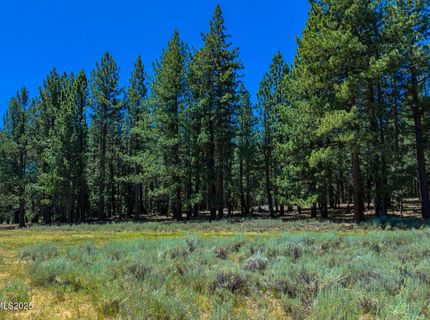 Xxx Smithneck Road, Loyalton, CA 96118 Photo