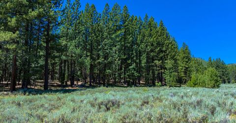 Xxx Smithneck Road, Loyalton, CA 96118 Photo