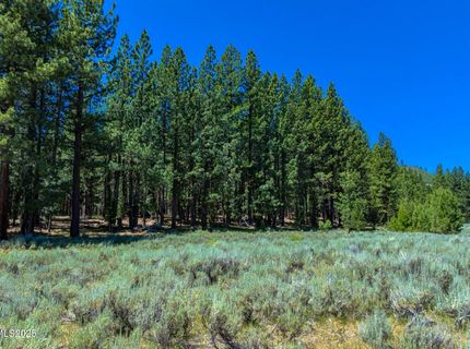 Xxx Smithneck Road, Loyalton, CA 96118 Photo