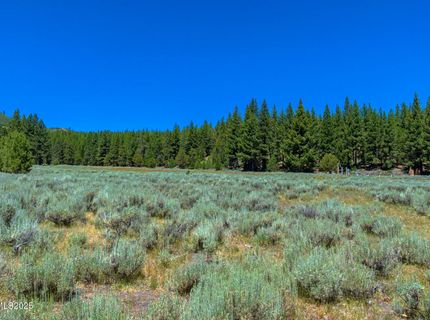 Xxx Smithneck Road, Loyalton, CA 96118 Photo