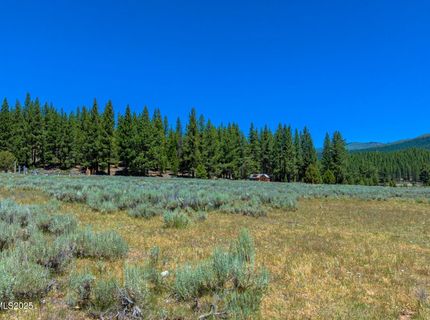 Xxx Smithneck Road, Loyalton, CA 96118 Photo