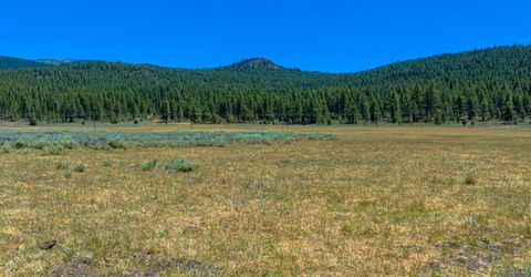 Xxx Smithneck Road, Loyalton, CA 96118 Photo