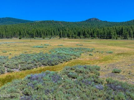 Xxx Smithneck Road, Loyalton, CA 96118 Photo