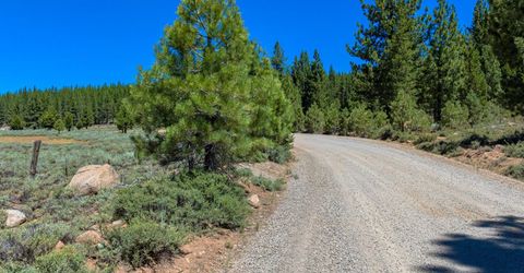 Xxx Smithneck Road, Loyalton, CA 96118 Photo