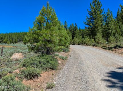 Xxx Smithneck Road, Loyalton, CA 96118 Photo