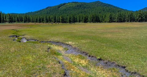 Xxx Smithneck Road, Loyalton, CA 96118 Photo