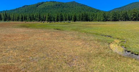 Xxx Smithneck Road, Loyalton, CA 96118 Photo