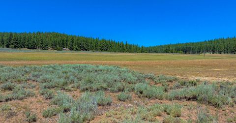 Xxx Smithneck Road, Loyalton, CA 96118 Photo