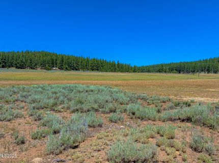 Xxx Smithneck Road, Loyalton, CA 96118 Photo