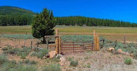 Xxx Smithneck Road, Loyalton, CA 96118 Photo