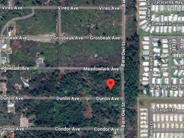 207 DUNLIN AVE, Sebring, FL 33870
