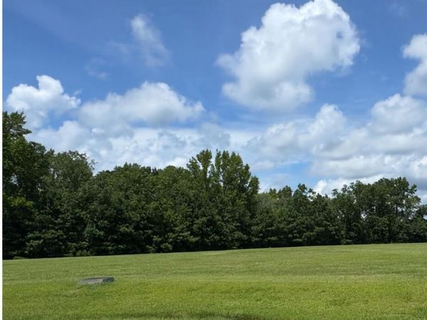 Lot 37 Sr 1767 Off State Road, Pinetown, NC 27865