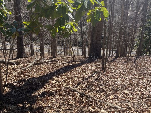 806 DIXON Drive, Gainesville, GA 30501