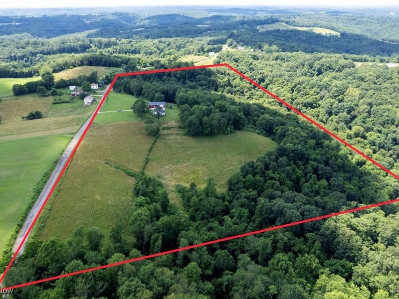 1292 Cinder Road SE, Bergholz, OH 43908 Photo 10